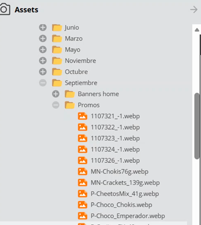 Shared asset repository organised in month folders